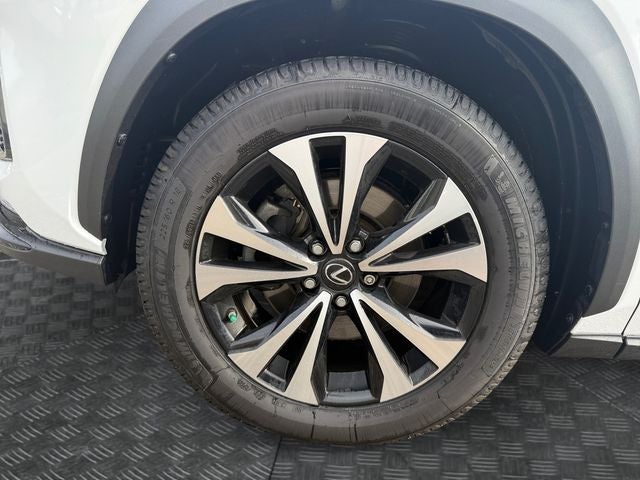 2019 Lexus NX 300 F Sport