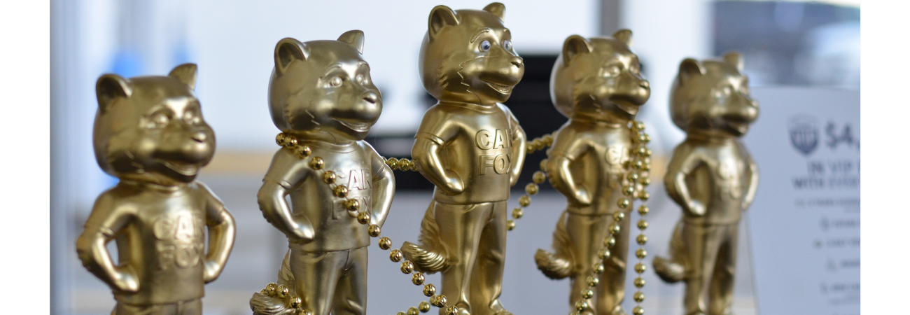 Evans Volkswagen Carfax awards